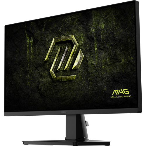 MSI MAG 256F E20 écran plat de PC 62,2 cm (24.5