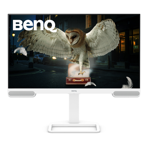 BenQ EW3290U écran plat de PC 79,2 cm (31.2