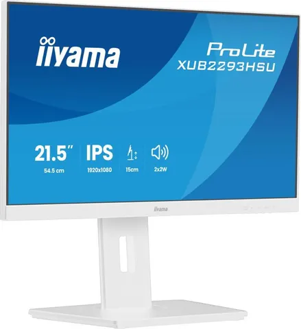 IIYAMA XUB2293HSU-W7, écran