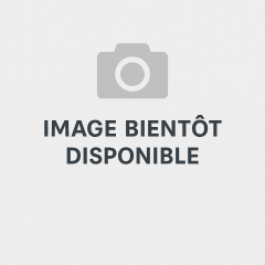 encours